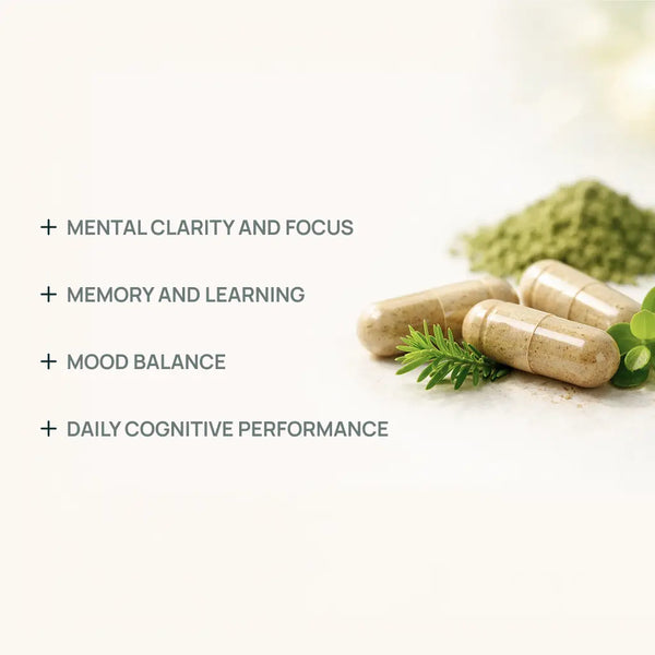 3D Brain Neuro Matrix - Focus & Memory Support - Kaitamin