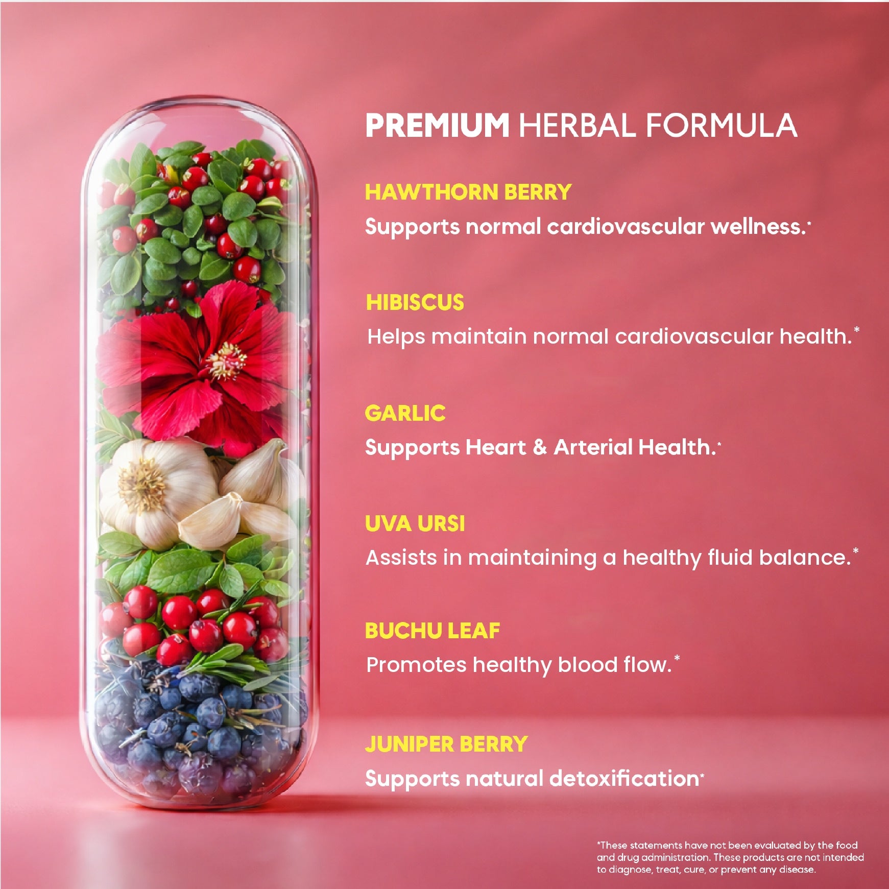 Premium herbal formula — hawthorn berry, hibiscus, garlic, uva ursi, buchu leaf, juniper berry
